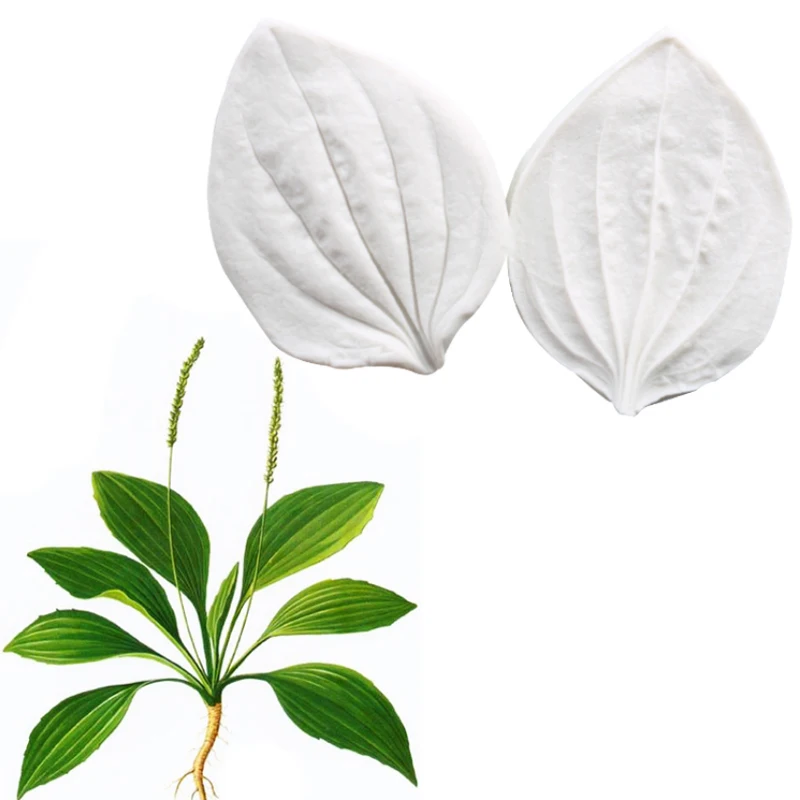 

Plantain leaves Silicone Mold Fondant Mould Cake Decorating Tools Chocolate Gumpaste Mold, Sugarcraft, Kitchen Accessories