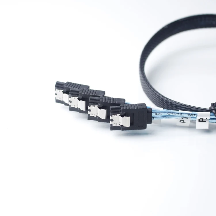 Mini SAS SFF-8643 (1)