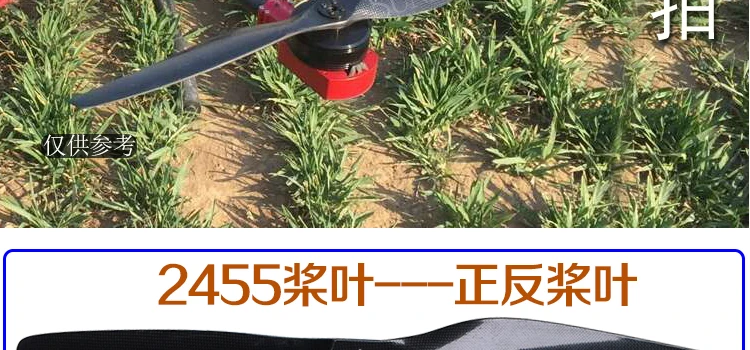 20190410_120220_008