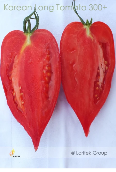 Rare Korean Long Tomato Seeds, Professional Pack, 300 Seeds / Pack, Heirloom Organic Vegetables Seed #LG00012