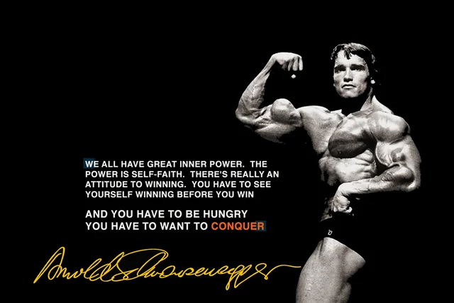 Arnold Schwarzenegger Quotes Mesmerizing Arnold Schwarzenegger Bodybuilding Quotes Conquer Motivational EX48 Arnold Schwarzenegger Quotes Mesmerizing Arnold Schwarzenegger Bodybuilding Quotes Conquer Motivational EX48