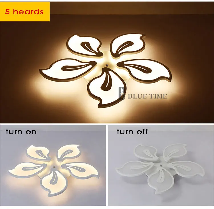 Ceiling-light6