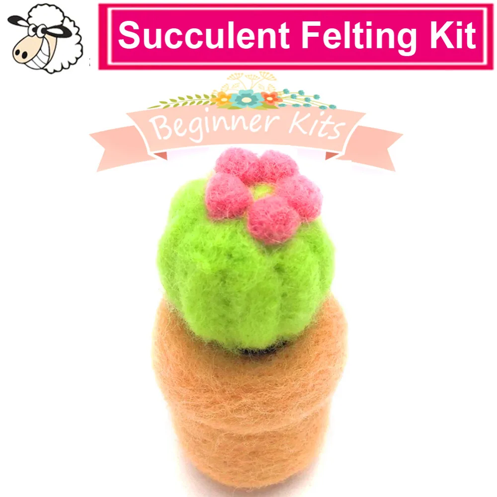 

Feltsky Succulent Needle Felting Kit DIY Wool with 3 Needle Felting Needles Wool for Felting in English Instruction (3)