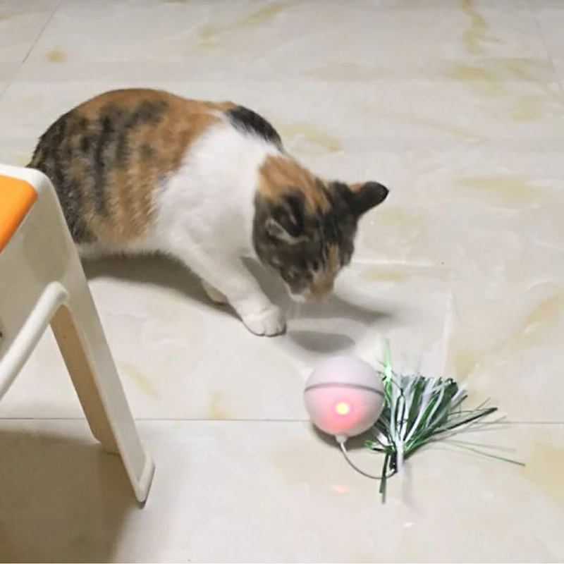 Funny Pet Dog Cat Toys Chargable LED Scrolling Glowing Balls with Feather Bell Sound Silicone Balls Agile training Catch Cat Toy8