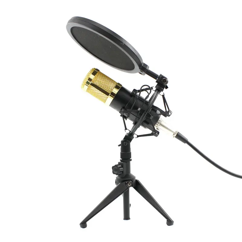

BM800 Professional Microphone Condenser BM 800 Microphone for Video Recording Radio Studio Microphone for Computer Shock Mount