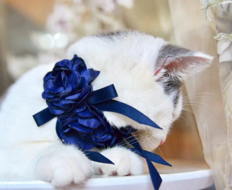 [MPK ошейники для кошек] розовый ошейник для кошек, галстук-бабочка для кота, ошейник для домашних животных, оценщики для кошек