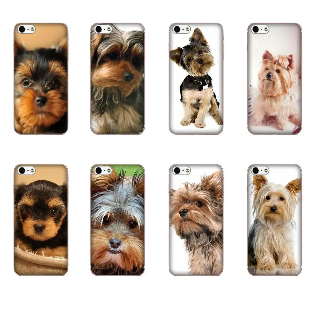 

Dog Yorkshire Terrier Puppy For Galaxy A3 A5 A7 A8 A9 A9S On5 On7 Plus Pro Star 2015 2016 2017 2018 Soft TPU Mobile