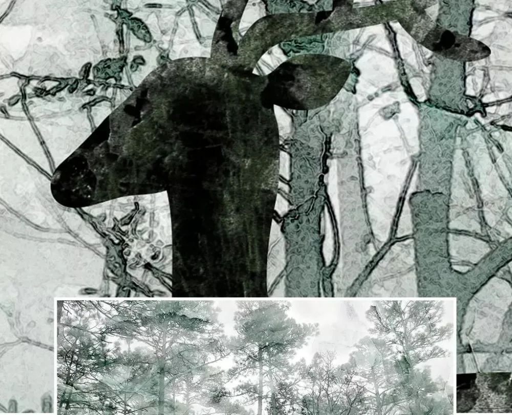 Северный лес Лось мечта Мраморный ТВ фон стены профессиональное производство фрески, обои на заказ плакат фото стены