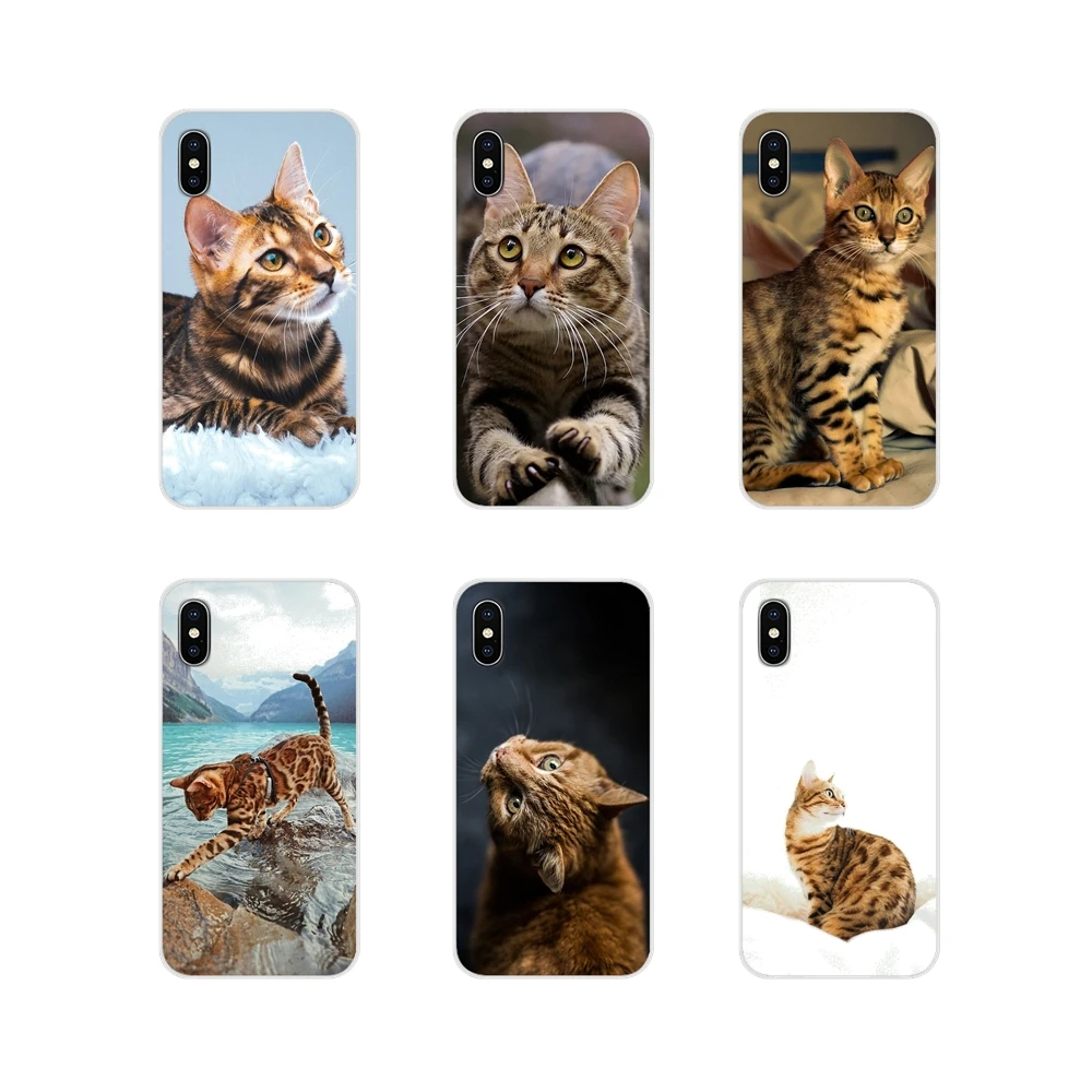 

Transparent Soft Shell Cases bengal cat Colorful Smart For Apple iPhone X XR XS MAX 4 4S 5 5S 5C SE 6 6S 7 8 Plus ipod touch 5 6