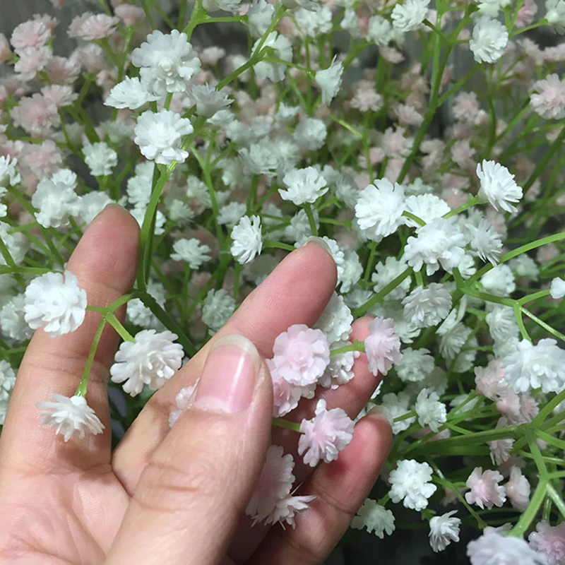 Гипсофила ясколковидная пикси сплеш. Маникюр гипсофилы. Гипсофила кермезина. Гипсофила ясколковидная пикси сплеш. Засохшие гипсофилы.