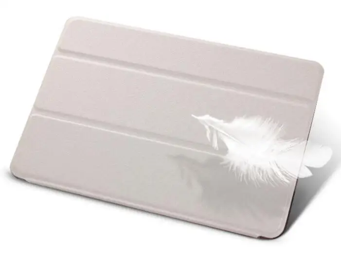 case  (7)