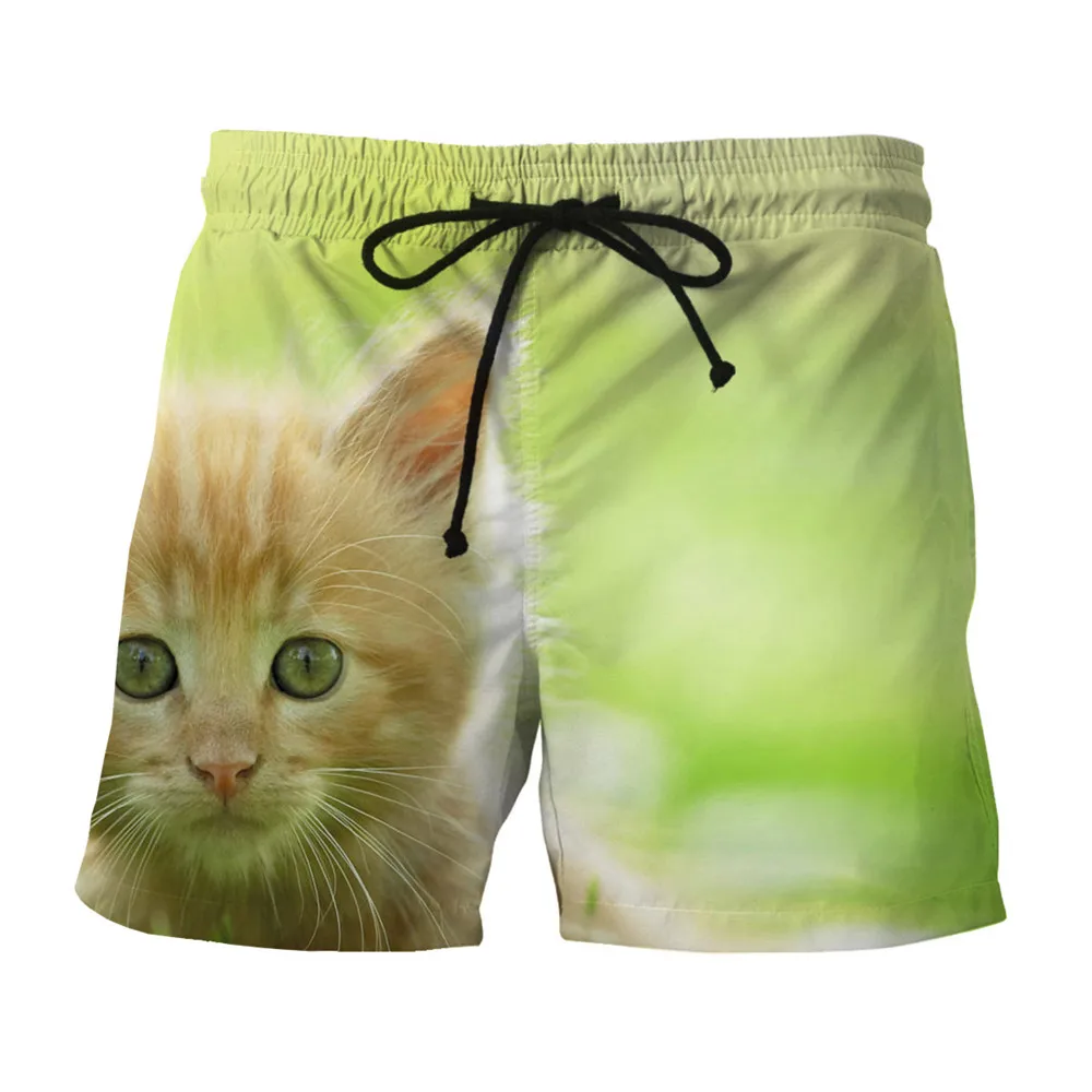 Cute Funny Cat Boardshort Plus Size Hip Hop Shorts Mens 6XL Animal 3D