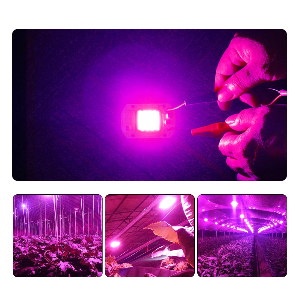 Полный спектр светодиодный Фито лампа 20 Вт 30 Вт 50 Вт Сварка бесплатно COB светодиодный лампы для выращивания 110 В 220 В COB светодиодный Диод Матрица для растения парниковые