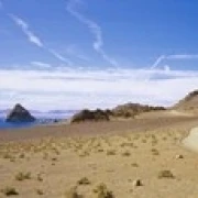 Dirt road on a landscape  Pyramid Lake  Nevada  USA Poster Print (18 x 6)