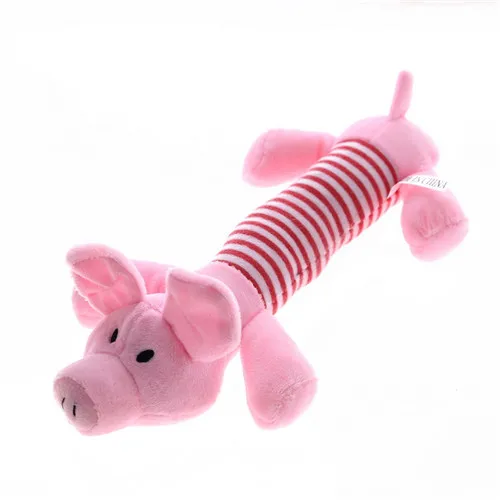 piggy