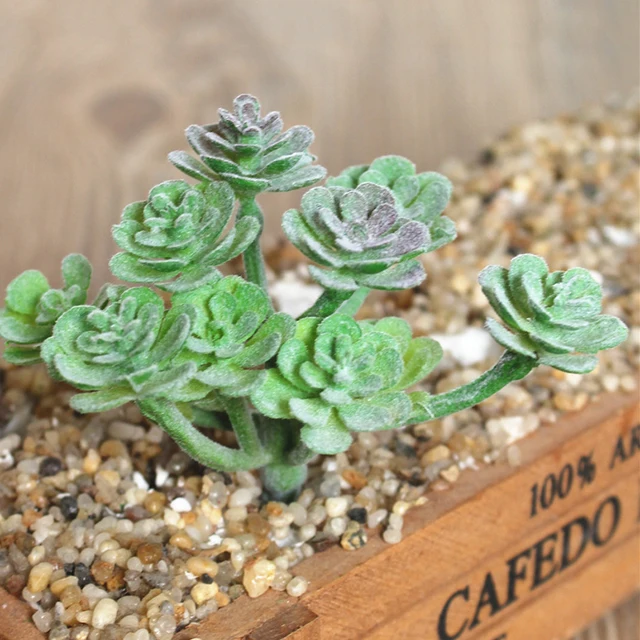Artificial Plastic Sukkulente Cactus Echeveria Flower Home Office Decor