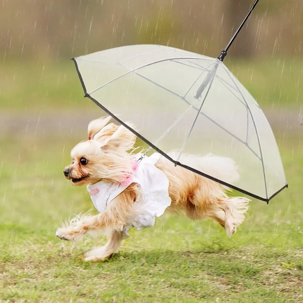 

Pet Dog Easy Transparent Folding Puppy Umbrella for Small Dogs Puppies - Provides Protection from Rain Snow Wet Weather