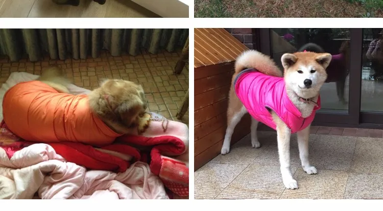 Одежда для больших и средних собак, зимний ветрозащитный Теплый пуховик, хлопковое Стеганое пальто, одежда для собак из лабрадора