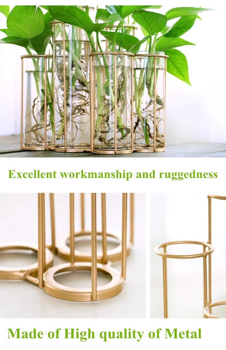 garrafa para planta de flor diy decoração