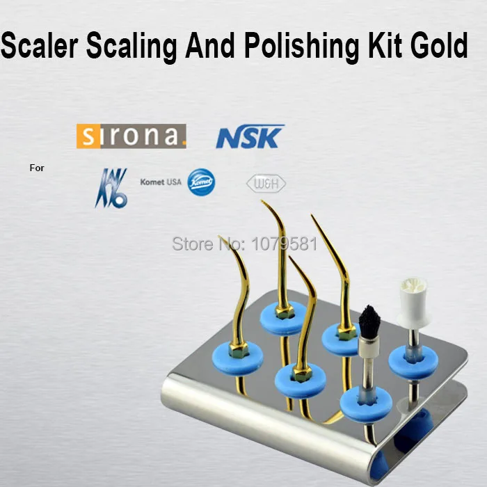Набор для масштабирования и полировки зубов Kavo набор золотых 1 шт.|tooth kit|dental polishing