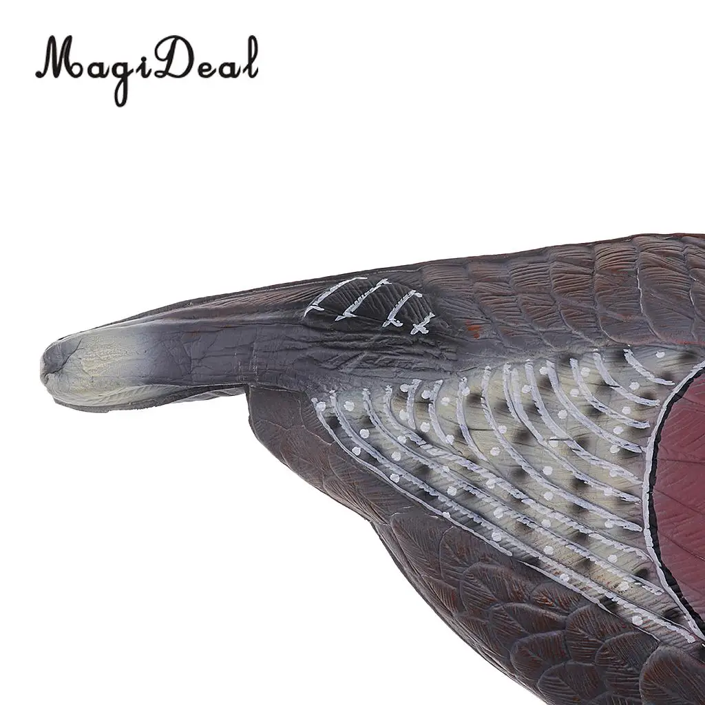 MagiDeal 3D Lifelike 1Pc Turkey Hunting Shooting Decoy for Outdoor Lawn Ornaments Garden Yard Decoration Good Greenhand Gear