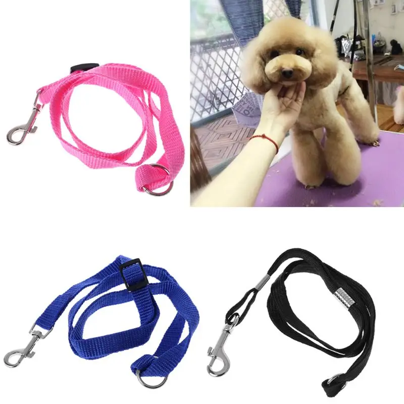 

1PC Pet Leash Nylon Cat Dog Grooming Loop Cable Rope Leashes for Beauty Bathing Home Collars Harnesses Leads Straps 3 Colors