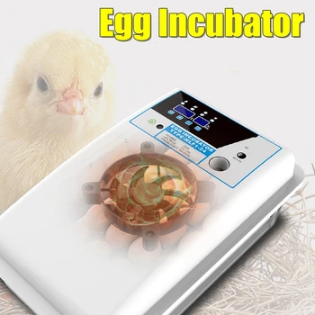 

NEW Digital Egg Incubator Automatic Egg Hatcher Automatic Turning Eggs Chicken Birds Quail Brooder Egg Incubator