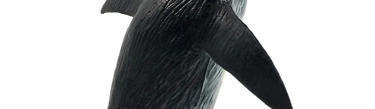 -2----DW-M-LP436-482_13