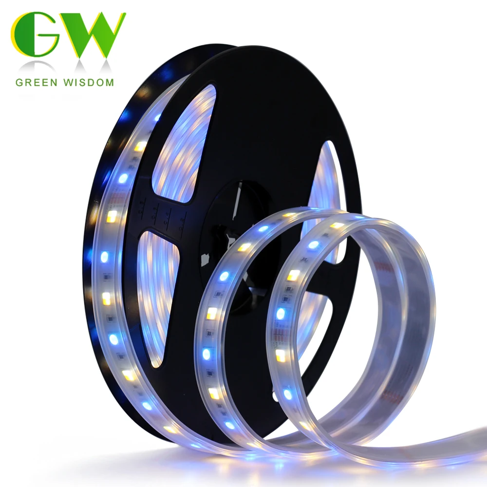 Rgb Cct Led Strip 5050 Smd 60leds M 5m Rgb W Ww Full Color