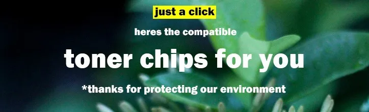 chips detail
