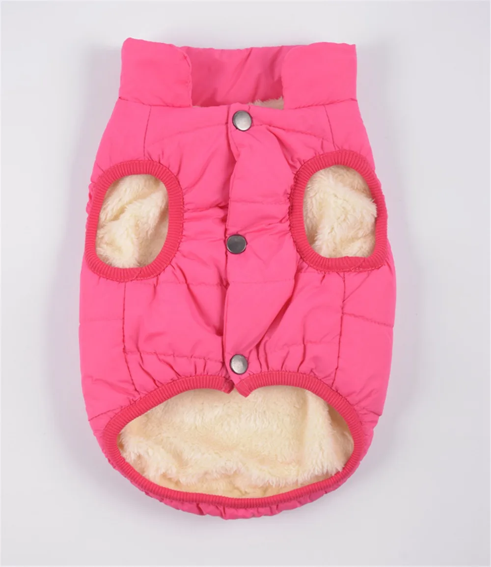 9091230625_1168772536