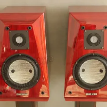 Платина 6S 6,5 дюймов Hi-End книжная полка динамик Accuton C30-6-358 твитер+ C173-6-096E СЧ и bassDIY