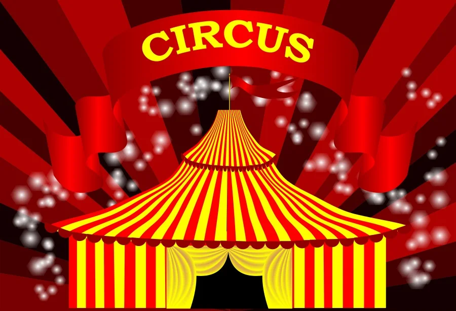 

Laeacco Circus Party Birthday Tent Stripes Baby Portrait Photography Backgrounds Photographic Backdrops For Photo Stadio