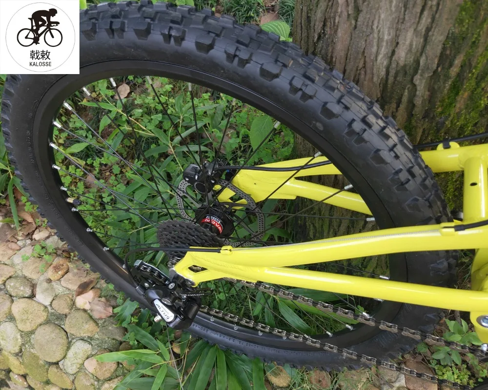 Top 165mm travel soft-tail bicycle  bike  20X110mm hubs   26er mountain bicycle  24 speed Hydraulic brakes 18