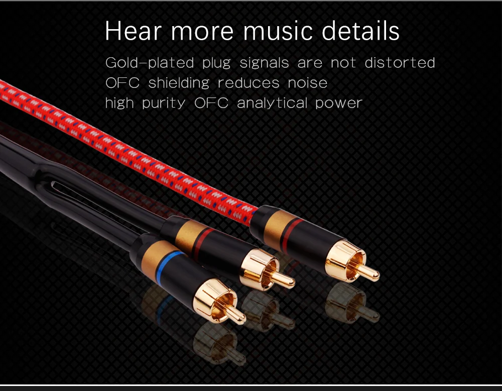 G1--RCA2RCA-_08