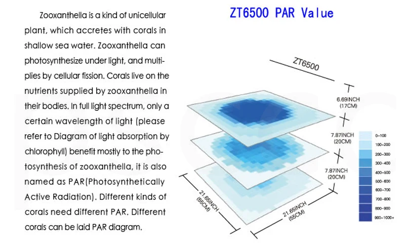 Височный интегратор ZETLIGHT светодиодный светильник черная тарелка(труба) ZT6500 ZT-6500 дистрибьютор провинции Гуандун