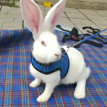 

Pet Rabbit Hamster Harness Leashes Set Outdoor Lead Pet Vest Harness Leashes Suit Small Animals Mesh Collars Pet Accessories