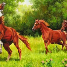 Пять лошадей DIY живопись по номерам 24 Цвета Пигмент кисть Искусство Ручная роспись креативная цифровая картина маслом