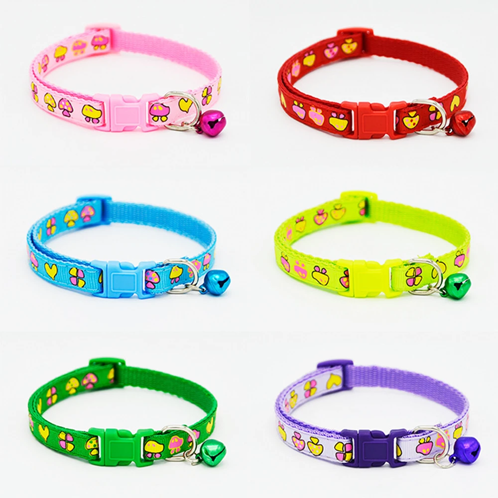 3360343293_1295703088