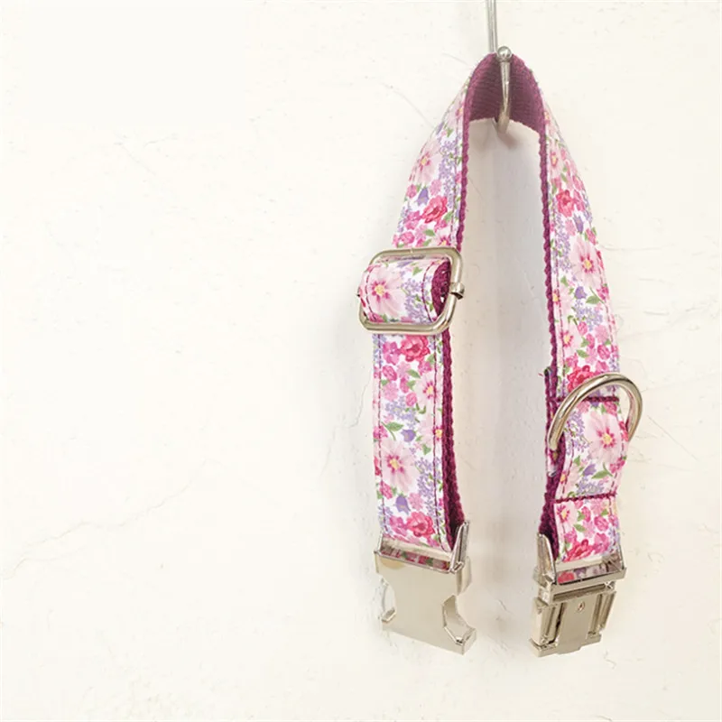 Pet Dog Collar and Leash (35)