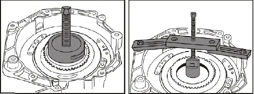 TB25nyZdXXXXXXbXpXXXXXXXXXX-119253914