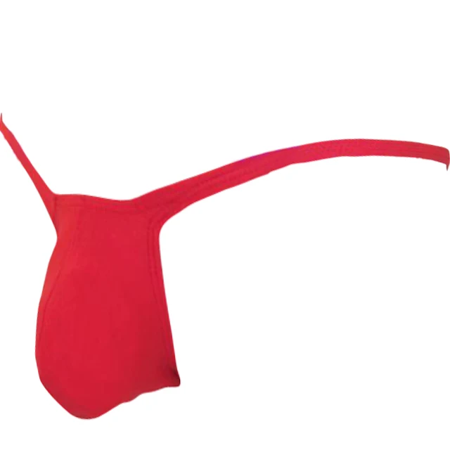 new hot Sexy lingerie low waist beauty sexy men's briefs cotton men's briefs