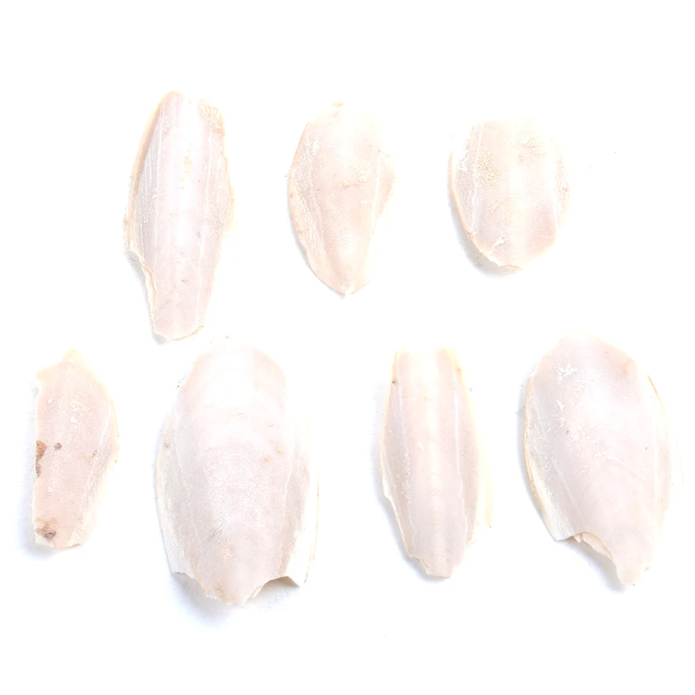 1 мешок Yummy Cuttle Fish Cuttlefish Bone для рептилий Budgie Birds черепаха питание украшение волос
