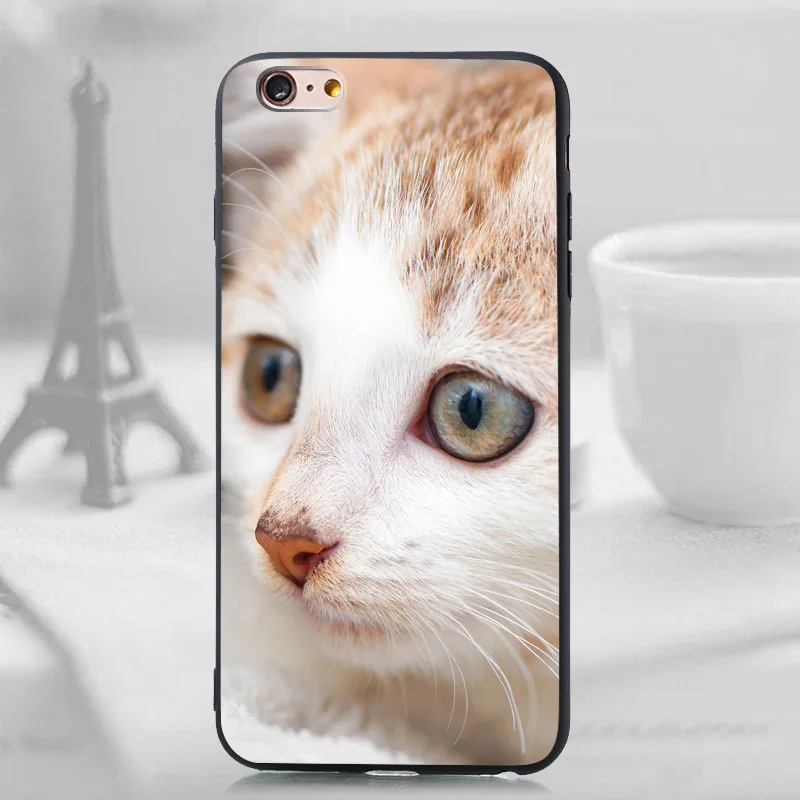 iphone6-26