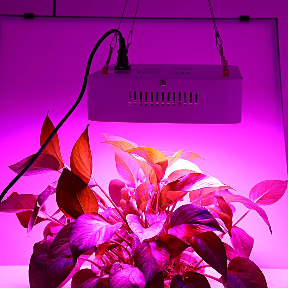 

Full Spectrum 600W Double Chip LED Grow Light Red/Blue/White/UV/IR 120 LEDs LED Grow Light for hydroponics and indoor plants
