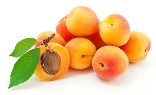 

10 pcs/ bag Bonsai Apricot Tree Plant Organic Potted Fruit Planta Home Garden Fruit Edible Perfume Fruta for Flower Pot Planter