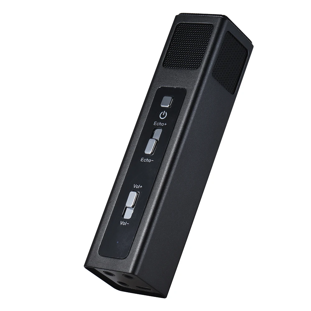 Microphone With Echo Effect verticalkopla