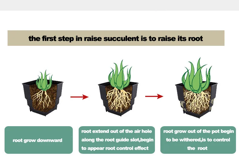 Meshpot горшок для суккулента цветочный горшок плантатор держатель корень контроль бассейна домашний декор, без корня гнить садовый горшок(10 шт. горшок+ 1 шт. лоток