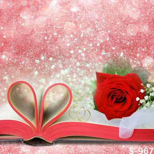 .com : Buy 8x8FT Coral Salmon Glitter Wall Books Red Rose Flower 