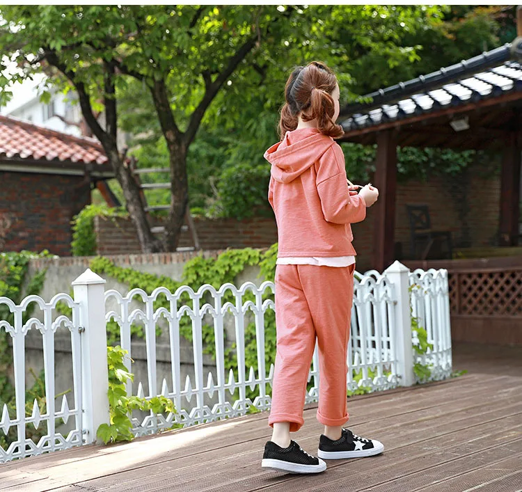 baby teenage girls clothing sets girl sport suits children clothing sets 2017 Brand New hooded kids clothes set hoody and pants  4 5 6 7 8 9 10 11 12 13 14  years old little big teenage girls tracksuits sets sports clothes  (24)